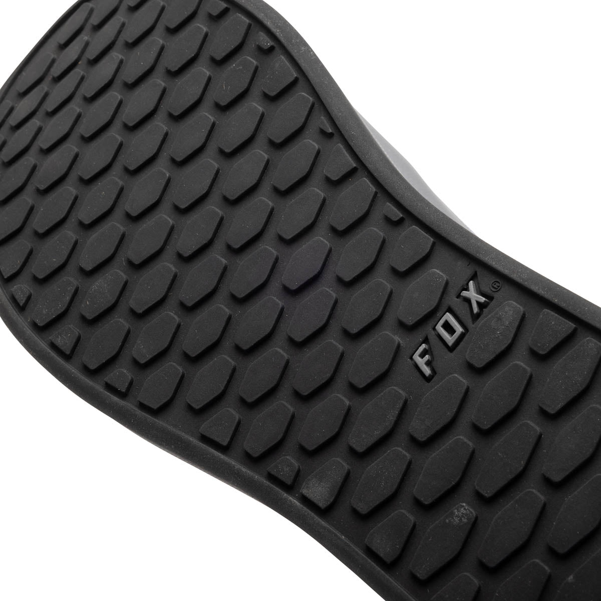 Fox Union Canvas Shoe - Grey