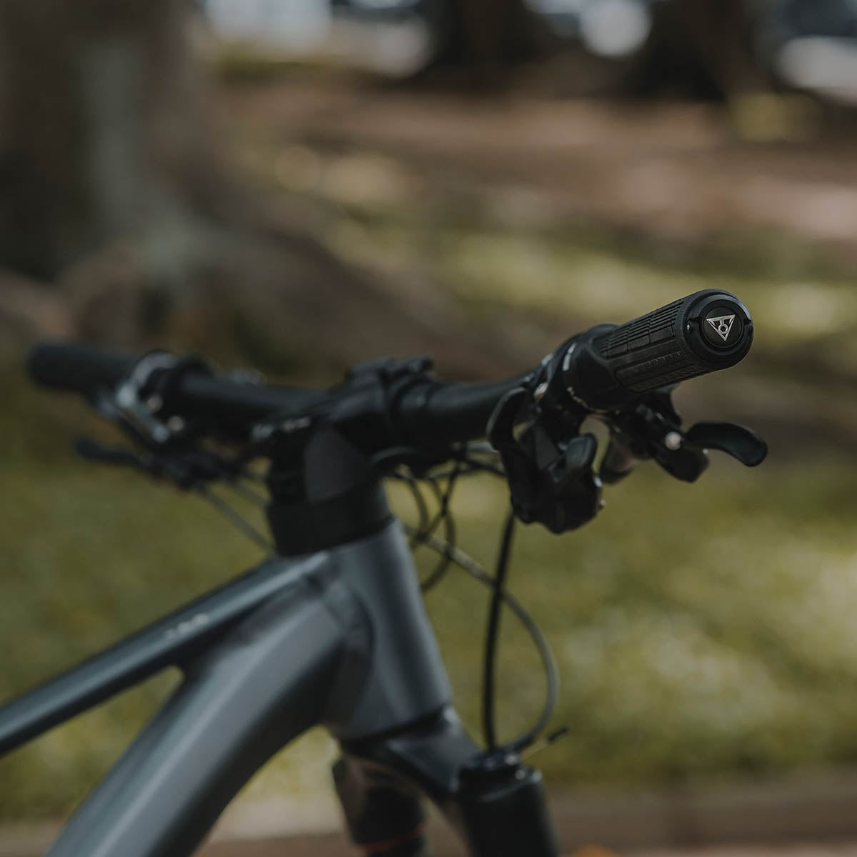 Topeak Plug'n Tool Mountain