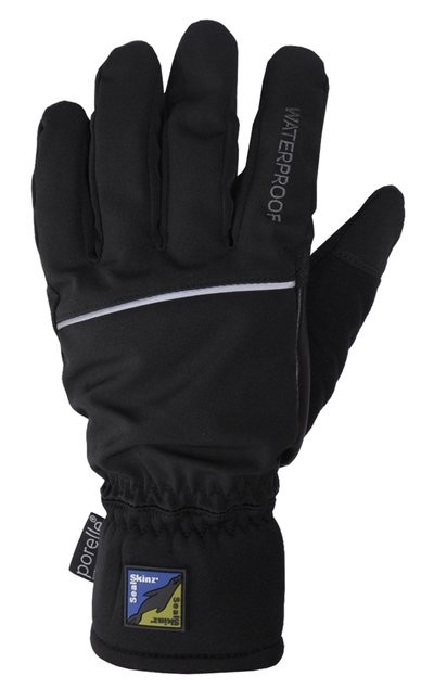 Sealskinz Winter Technical Glove Black