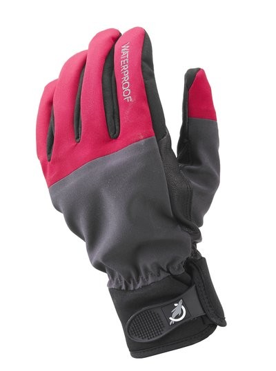 Sealskinz Versatility Glove Red