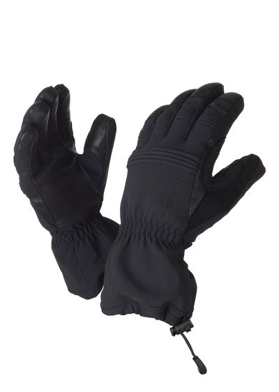 Sealskinz Extreme Cold Weather Glove black